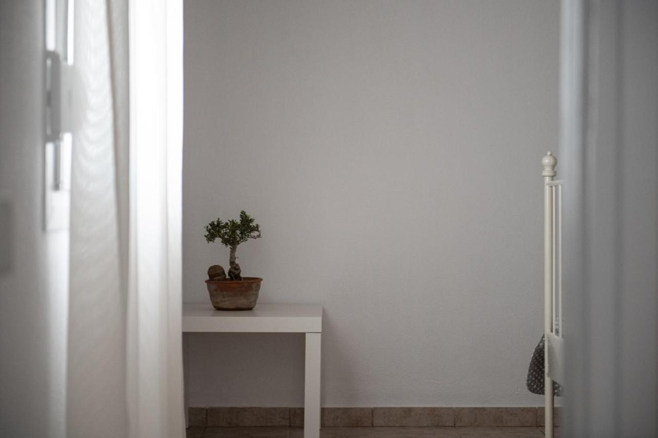 Apartmán Agrikia Tis Vasilikis Ormília Exteriér fotografie