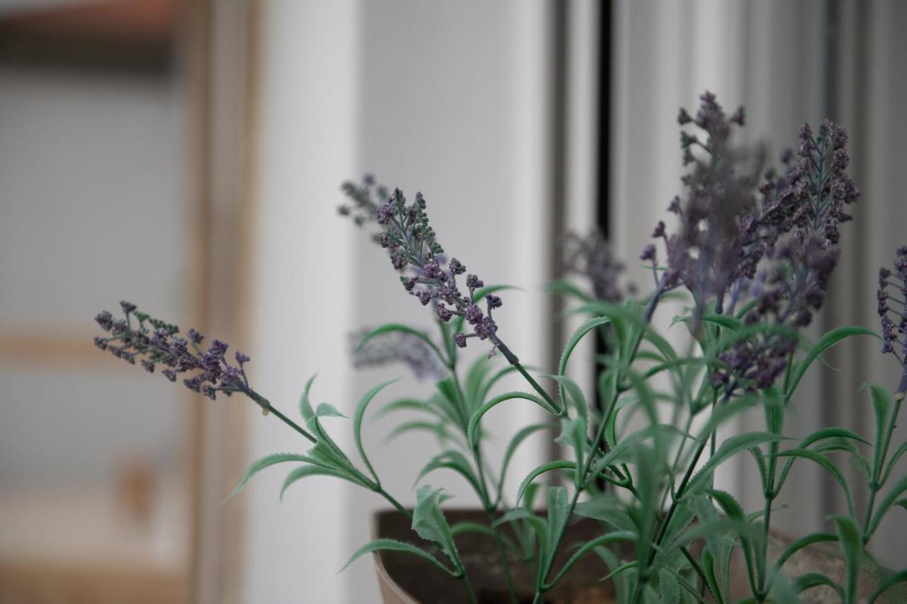 Apartmán Agrikia Tis Vasilikis Ormília Exteriér fotografie