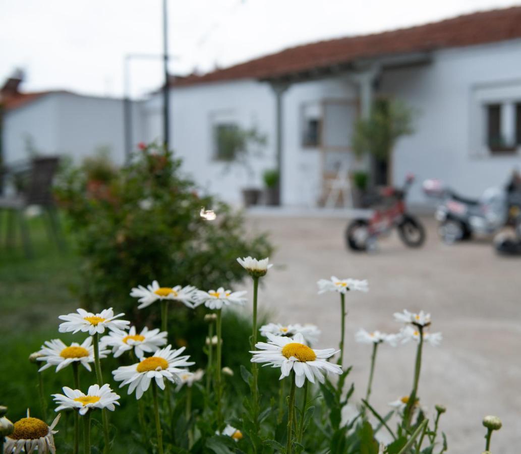 Apartmán Agrikia Tis Vasilikis Ormília Exteriér fotografie