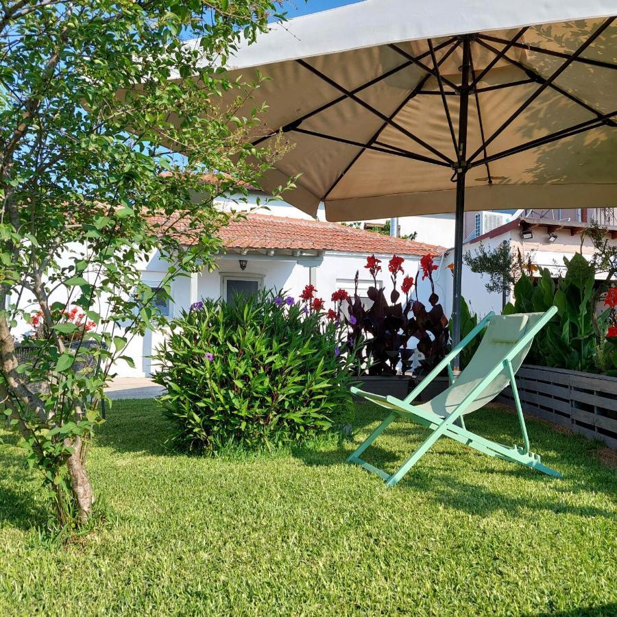 Apartmán Agrikia Tis Vasilikis Ormília Exteriér fotografie