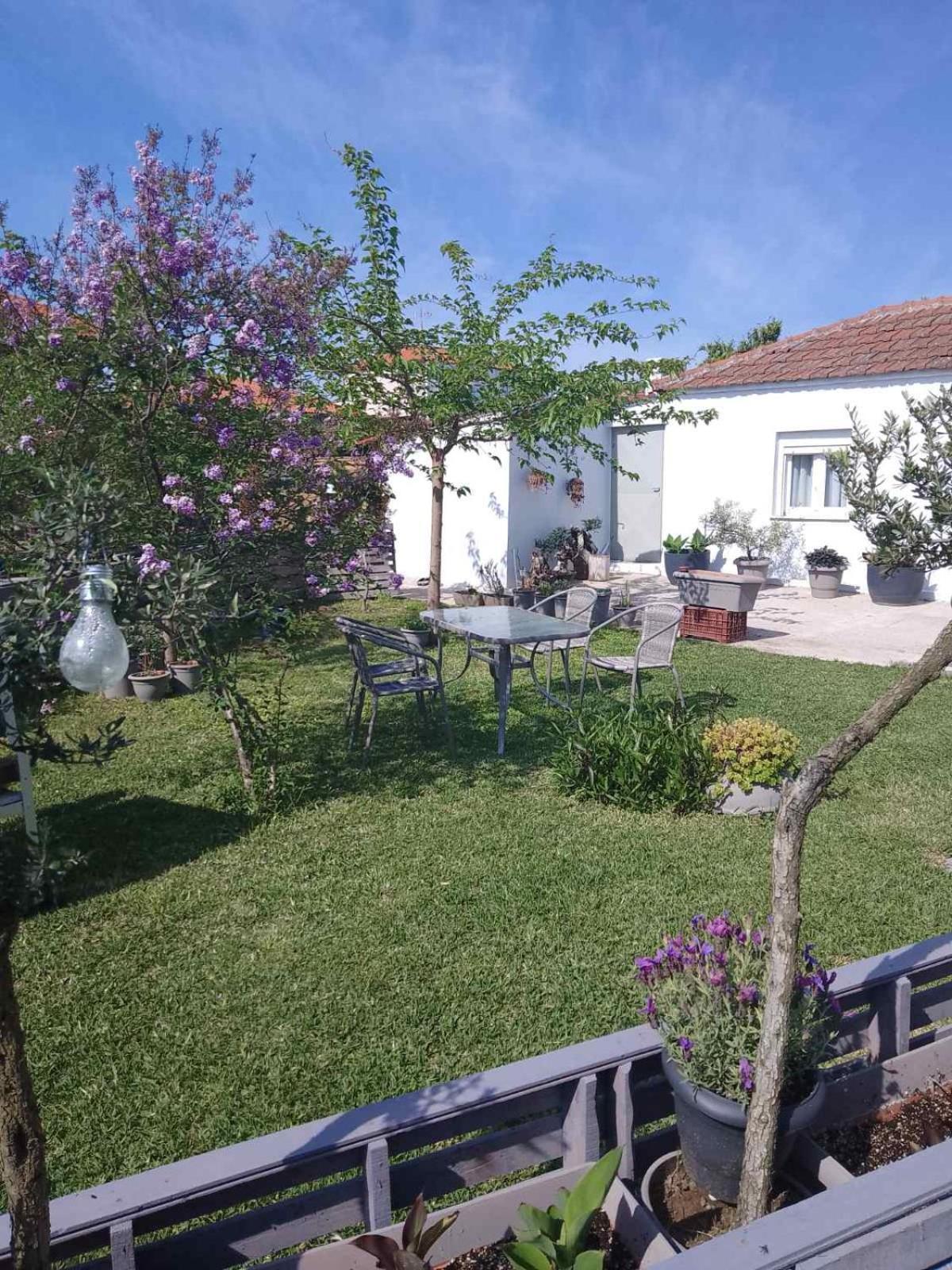 Apartmán Agrikia Tis Vasilikis Ormília Exteriér fotografie